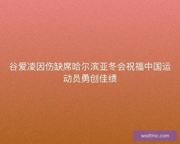 谷爱凌因伤缺席哈尔滨亚冬会祝福中国运动员勇创佳绩