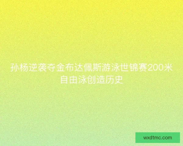 孙杨逆袭夺金布达佩斯游泳世锦赛200米自由泳创造历史