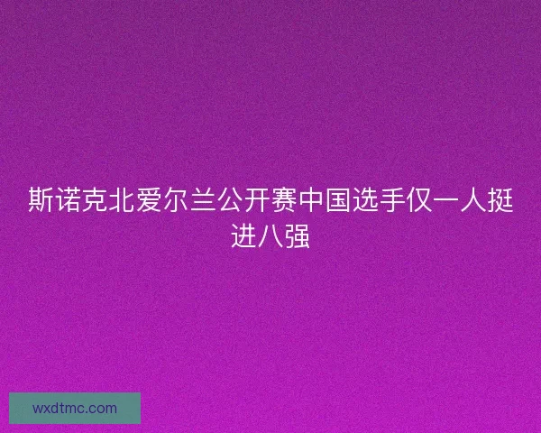 斯诺克北爱尔兰公开赛中国选手仅一人挺进八强